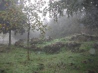 fugio Pirao-20101010 121